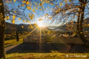 automne sur cimetiere saint sauveur