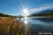 refle soleil devant roseaux siguret