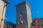 tour brune embrun sous les fleurs du parvis cathedrale