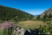 vallon la chalp depuis sentier crachet