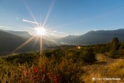vue sur serre poncon depuis les manins plante rouge