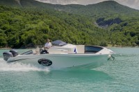 Vedette prestige de profil