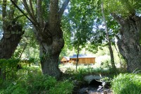 chalet ruisseau cariamas