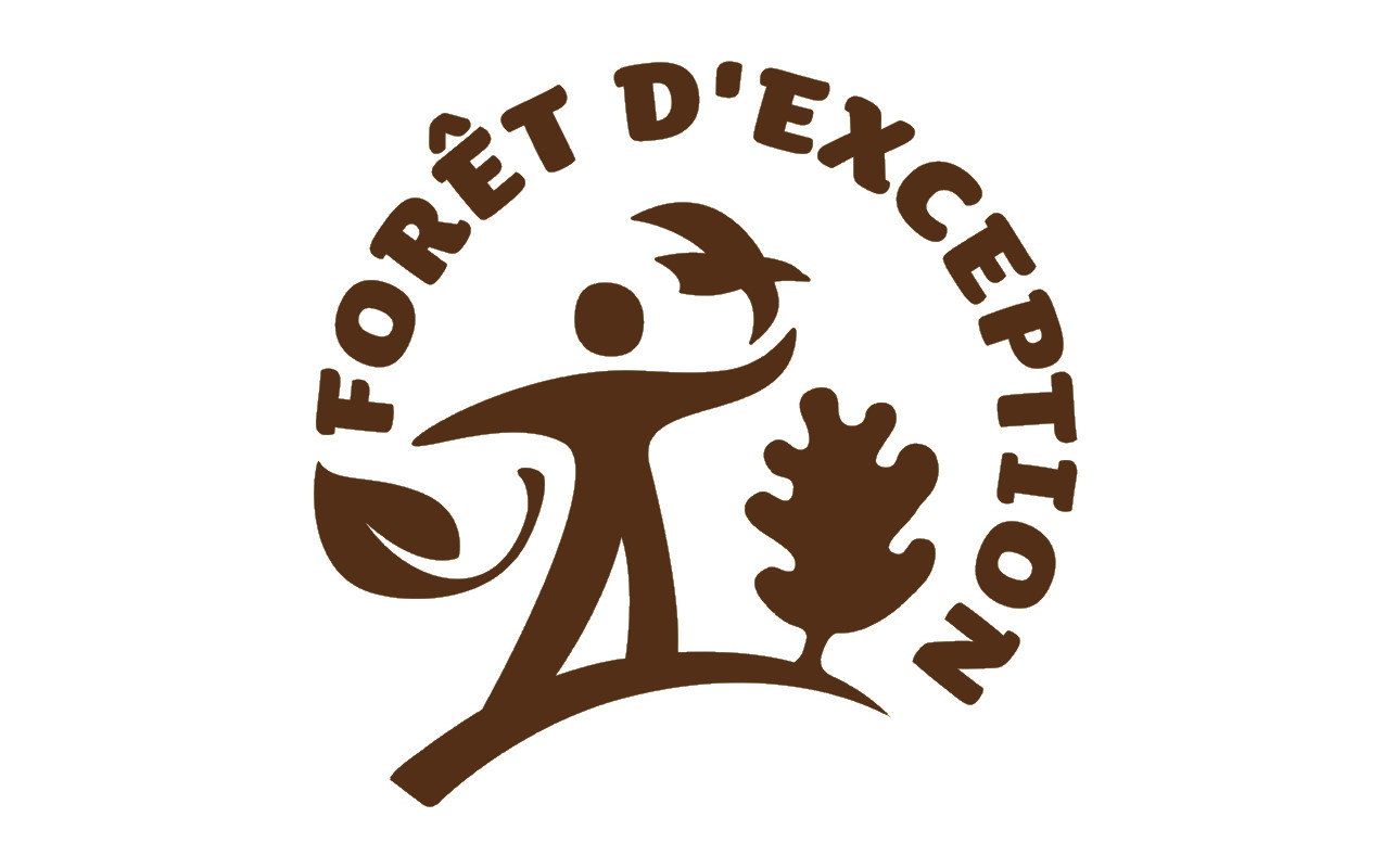 La Forêt de Boscodon obtient le label Forêt d’Exception » »